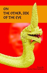 image of the book cover of On the Other Side of the Eye.