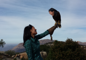 Author Tracy Park holding a large bird, which also has her face