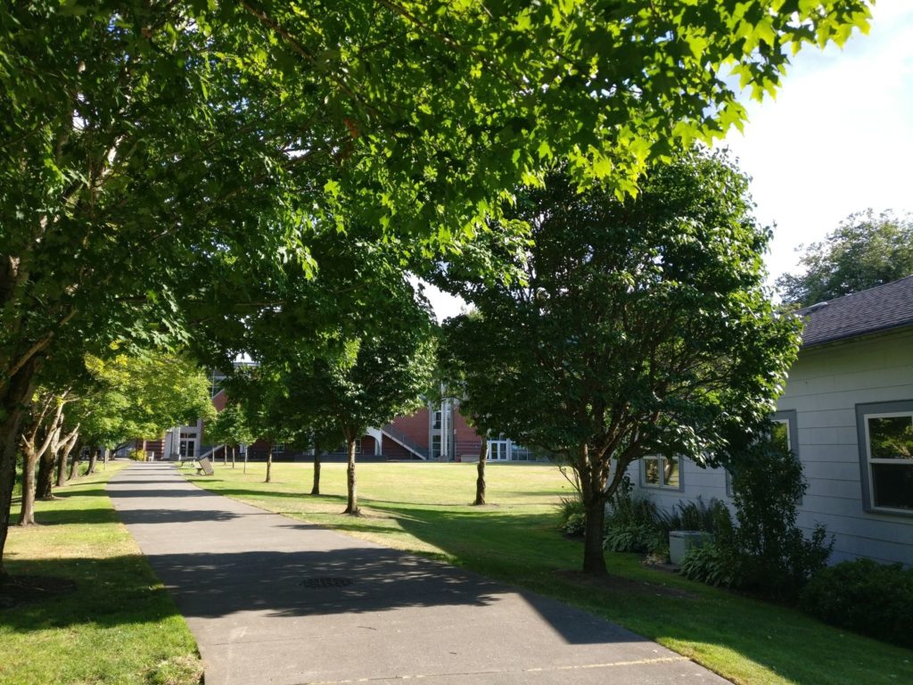 Paved trail with grass and trees