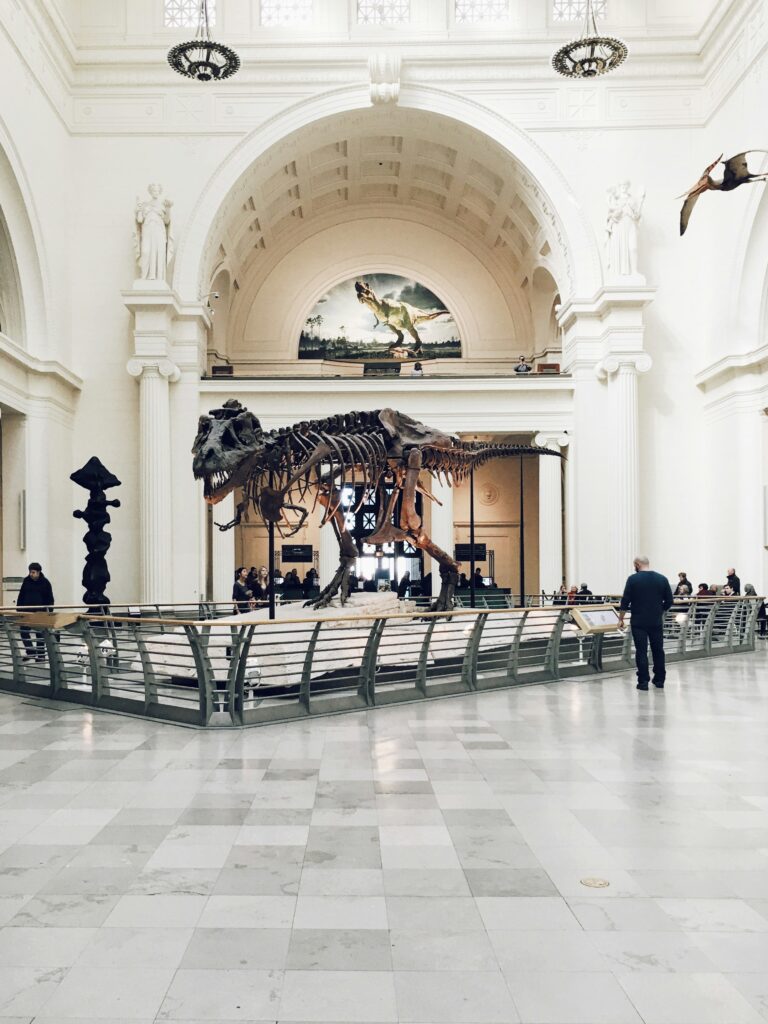 Dinosaur skeleton at Field Museum